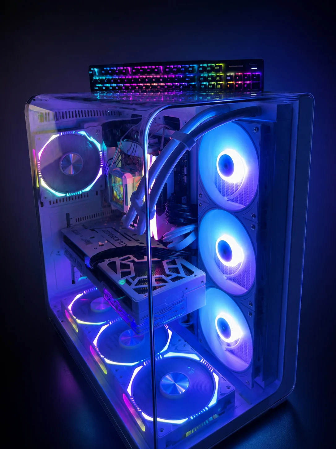 Sunflower Glass · White showcase PC — original photo 06 · cover